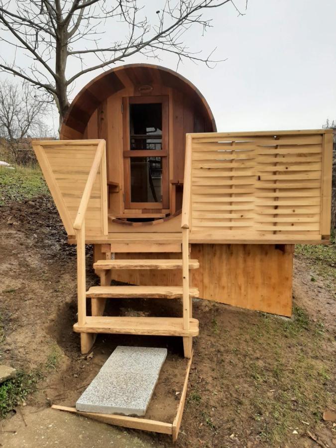 Apartmani Zuti Leptir Vrdnik Esterno foto
